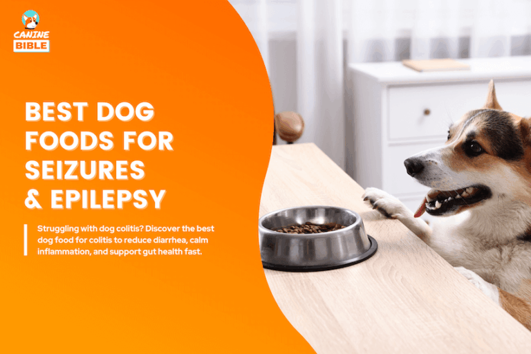 best dog food for seizures and epilepsy
