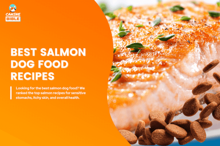 best salmon dog foods