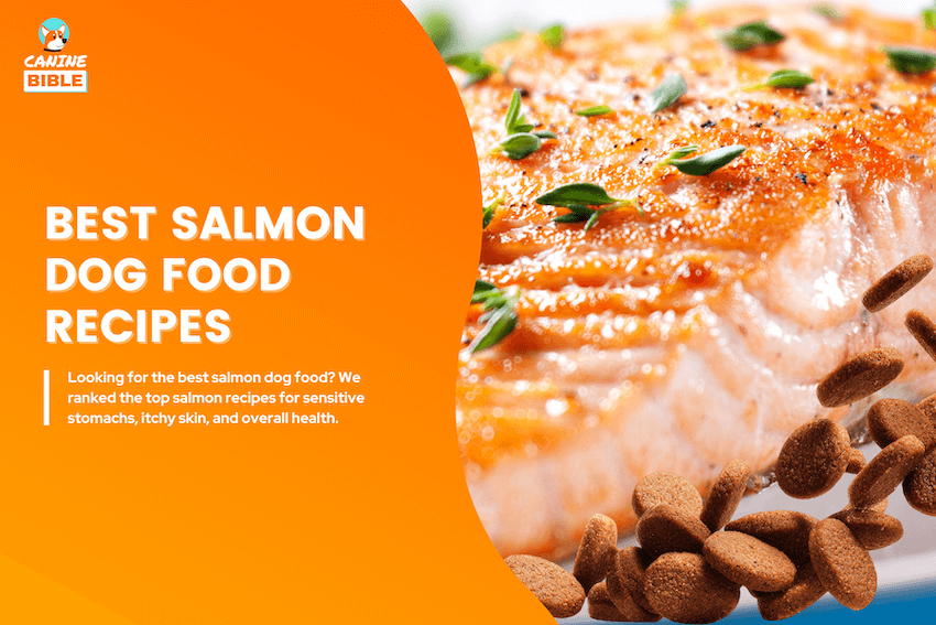 best salmon dog foods