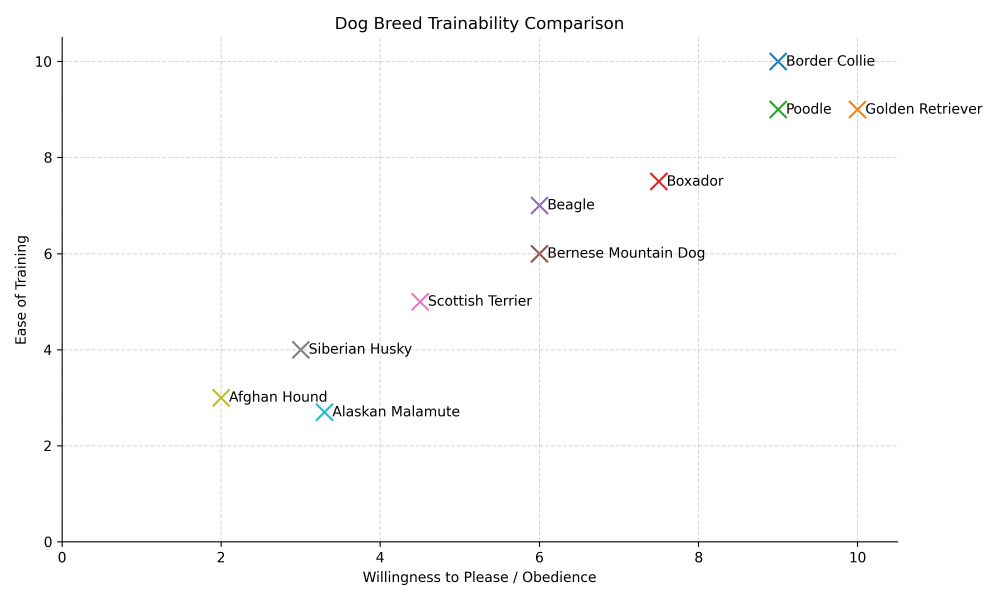 boxador trainability chart