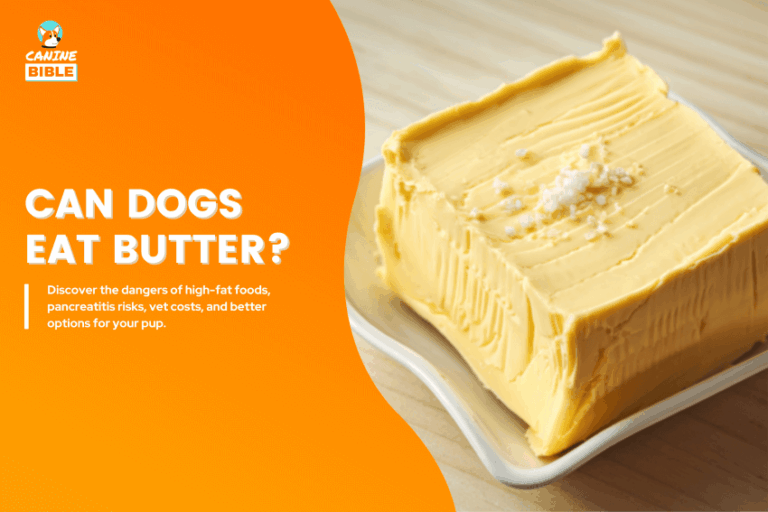 Can Dogs Eat Butter