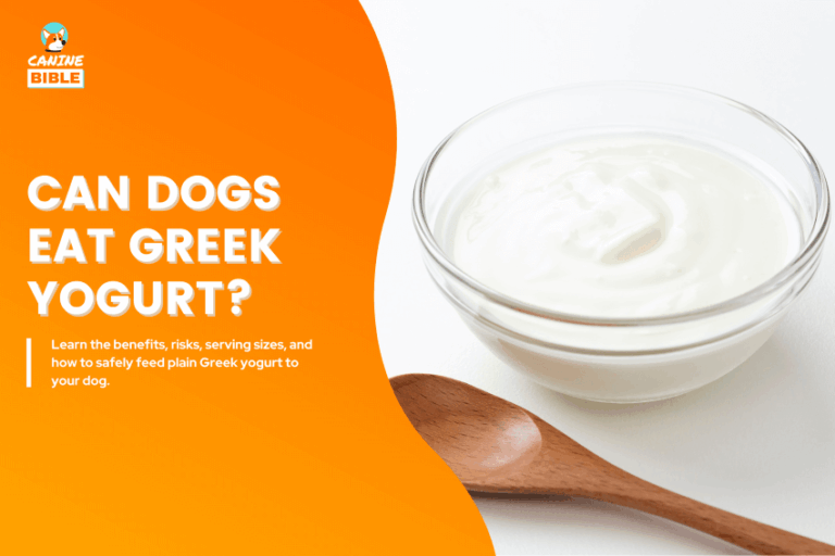 can dogs eat greek yogurt