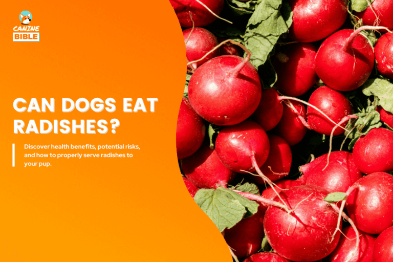 Can Dogs Eat Radishes