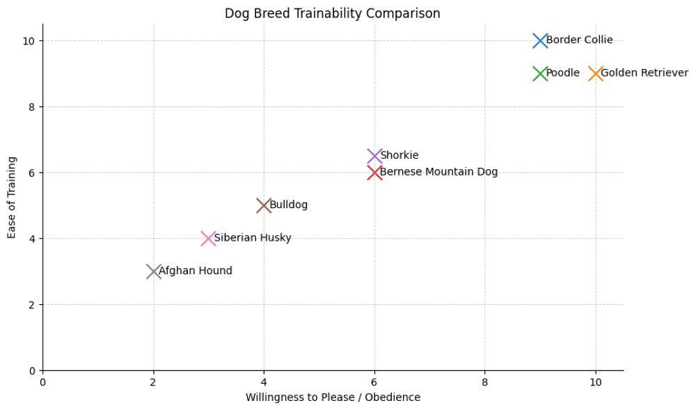 shorkie trainability chart