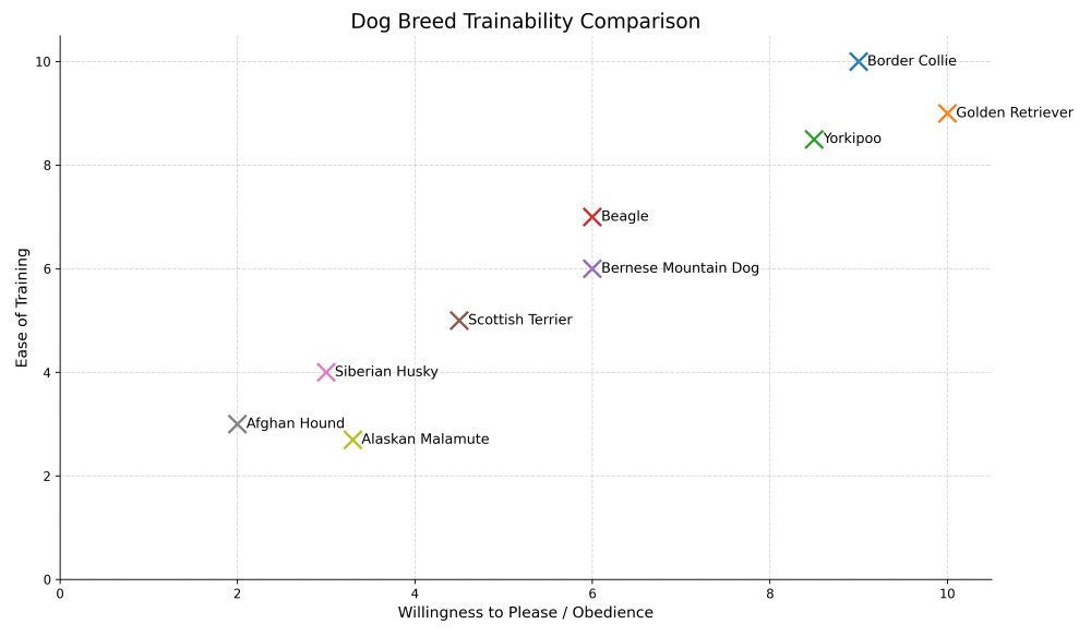 yorkipoo trainability chart