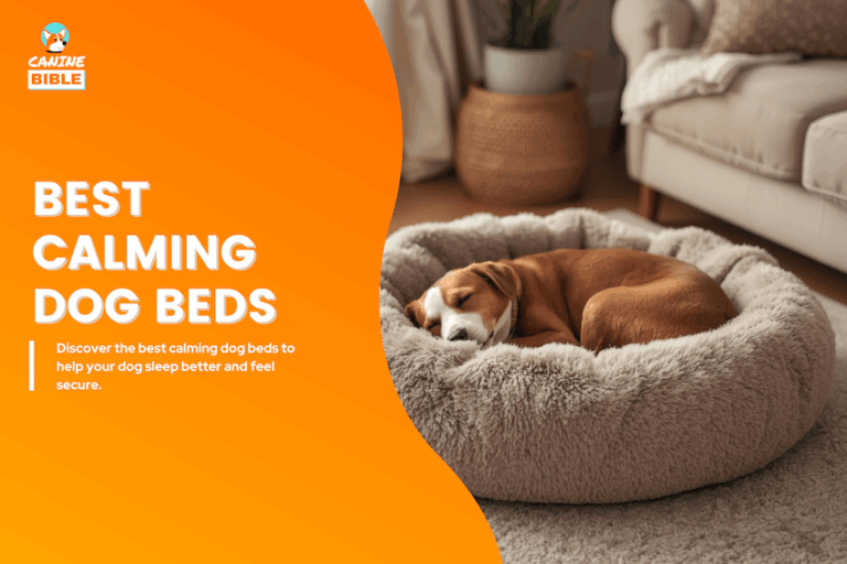 Best Calming Dog Beds