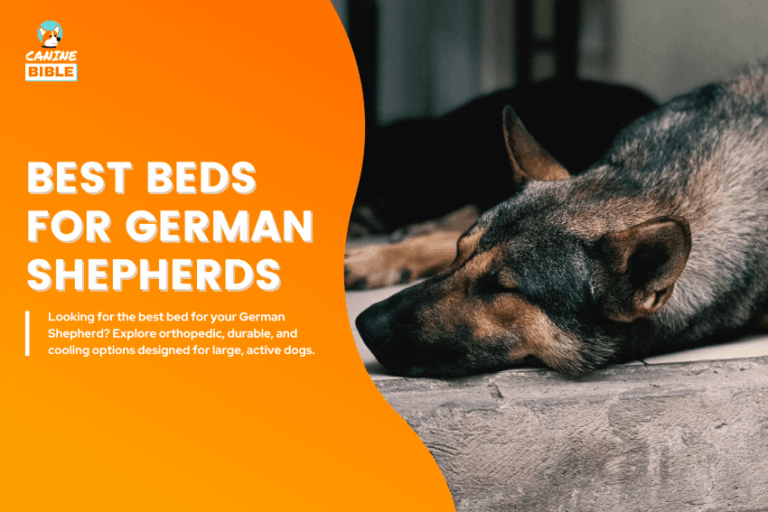 Best-Dog-Beds-for-German-Shepherds