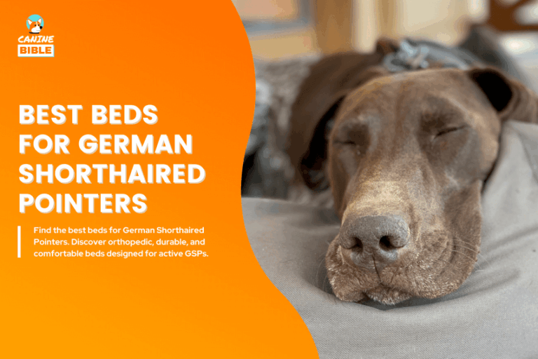 Best-Dog-Beds-for-German-Shorthaired-Pointers