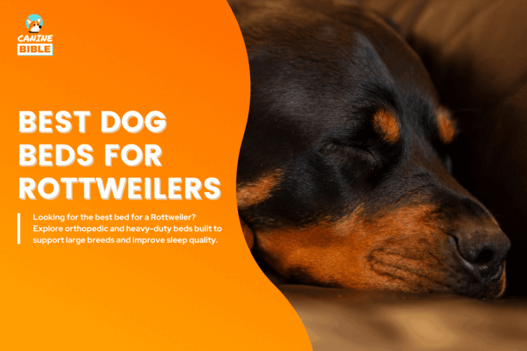 Best-Dog-Beds-for-Rottweilers