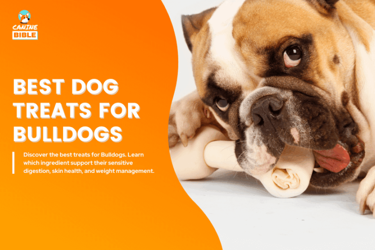 Best-Dog-Treats-for-Bulldogs