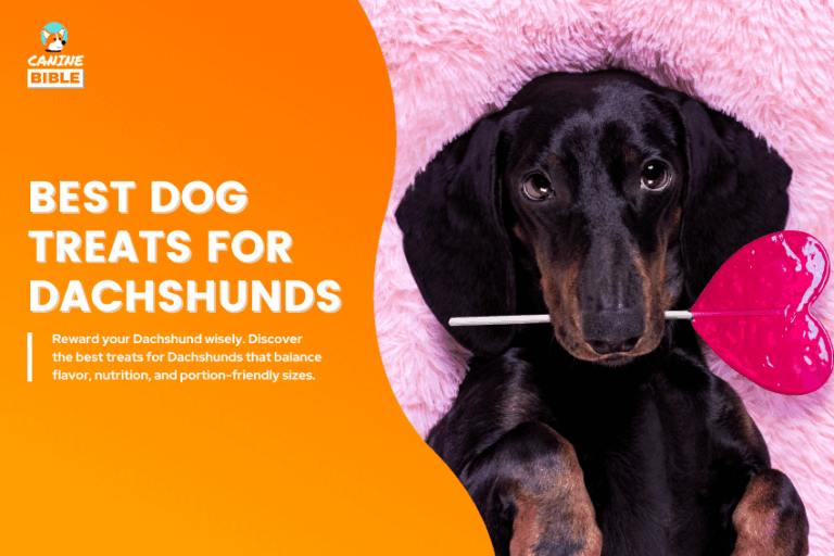 Best-Dog-Treats-for-Dachshunds