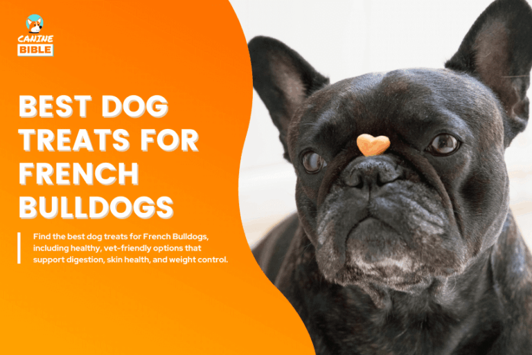 Best-Dog-Treats-for-French-Bulldogs