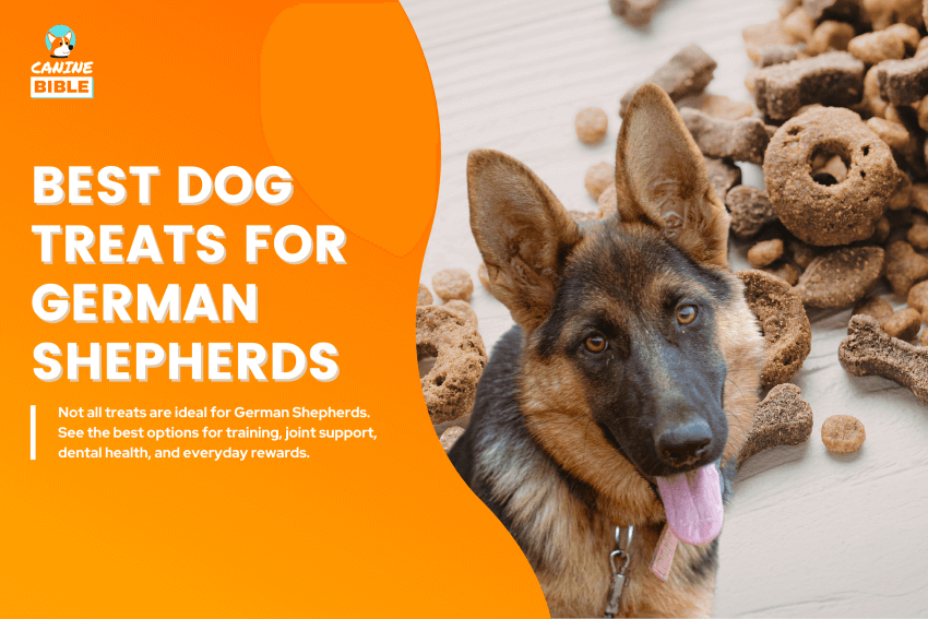 Best-Dog-Treats-for-German-Shepherds