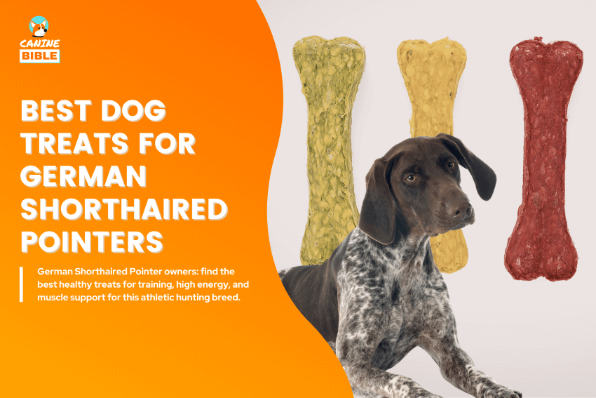 Best-Dog-Treats-for-German-Shorthaired-Pointers