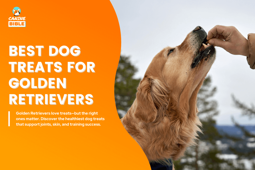 Best-Dog-Treats-for-Golden-Retrievers