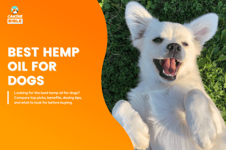Best-Hemp-Oil-For-Dogs