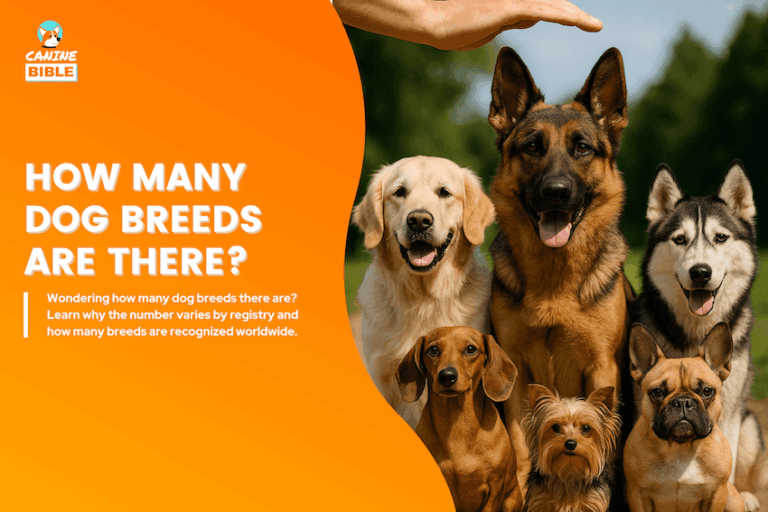How Many Dog Breeds Are There
