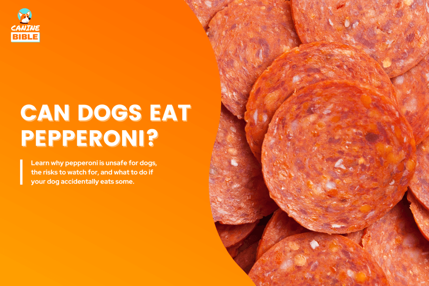 can-dogs-eat-pepperoni