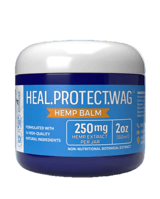 innovet heal.protect.wag dog paw balm