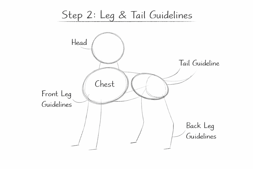 step 2 how to draw a dog