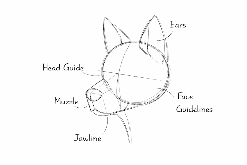 step 3 how to draw a dog