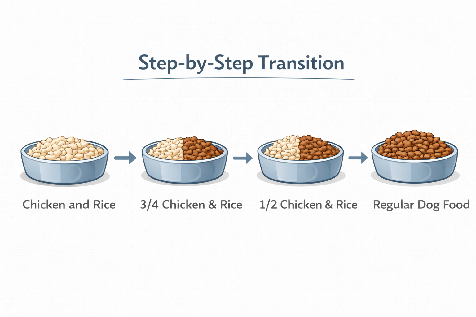 step by step transition to regular dog food