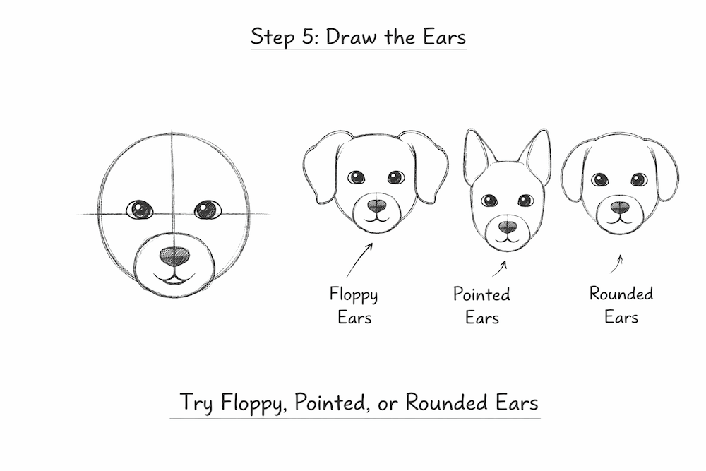 dog ear drawing guide