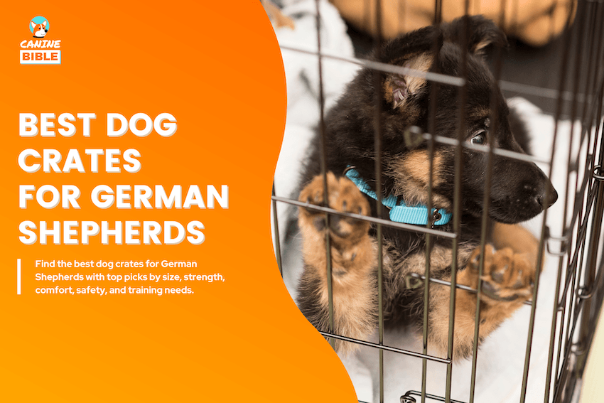 best dog crates for german shepherds