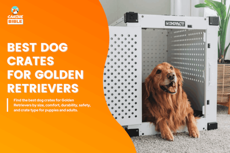 best dog crates for golden retrievers