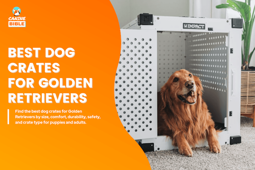 best dog crates for golden retrievers