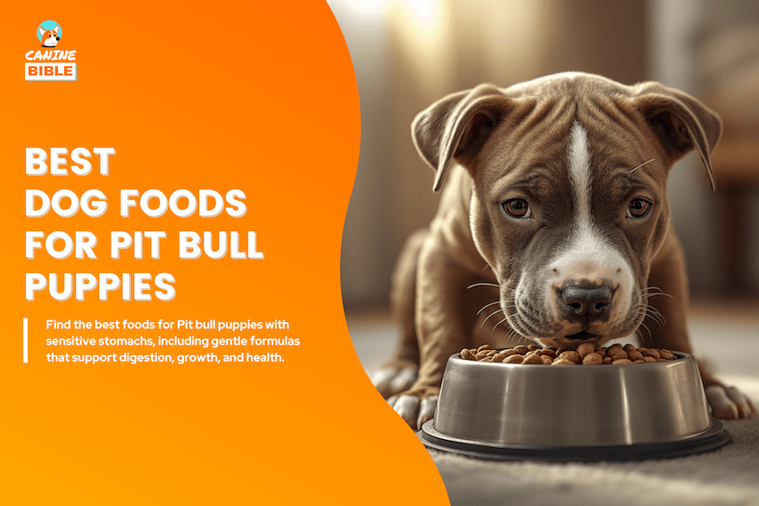best dog foods for pit bull puppies