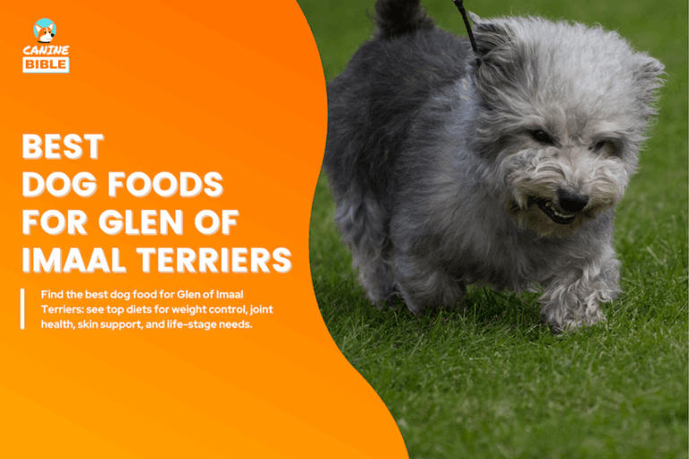 best dog foods for imaal terriers
