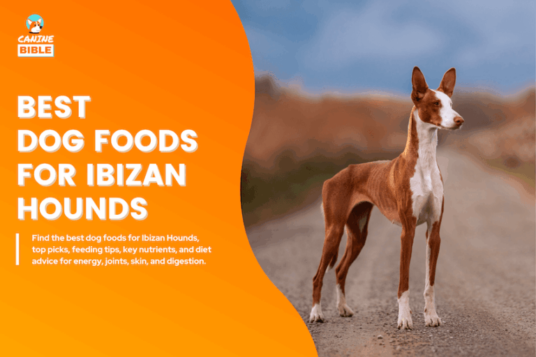 best dog foods for ibizan hounds