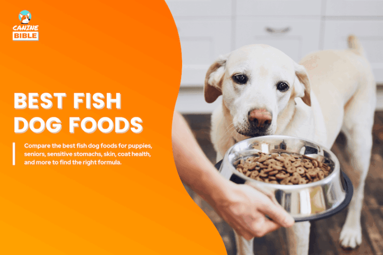 best fish dog foods