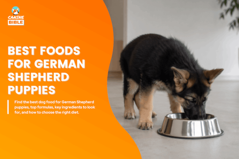 best dog foods for german shepherd puppies