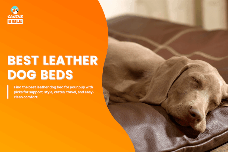 best leather dog beds