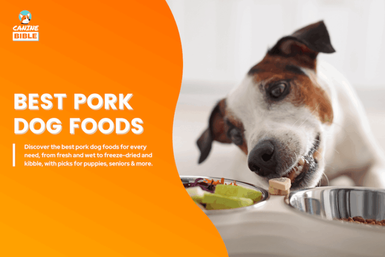 best pork dog foods