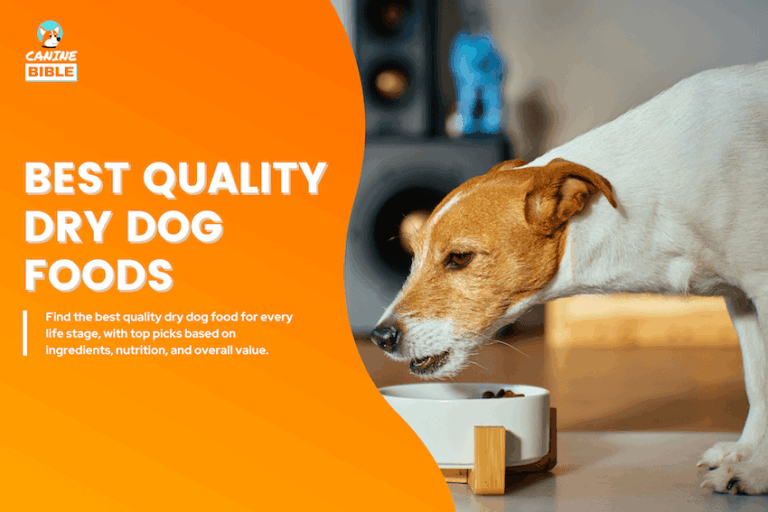 best quality fry dog foods