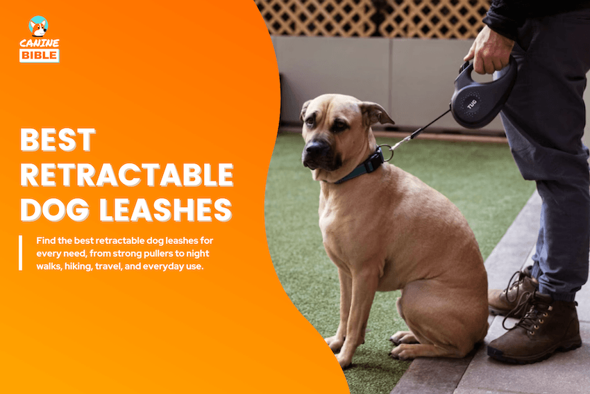 best retractable dog leashes