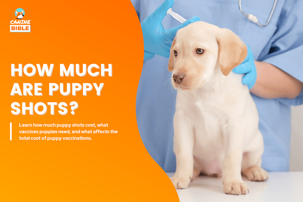how much are puppy shots