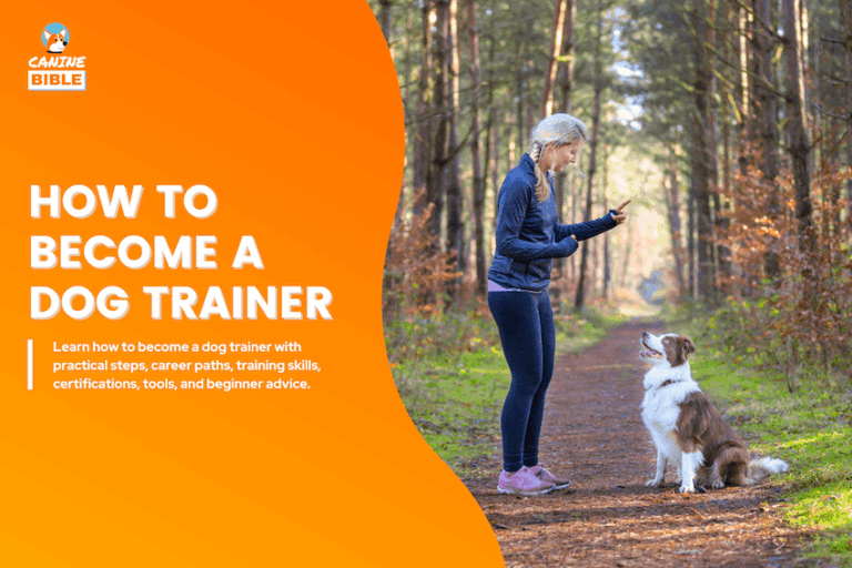 how to become a dog trainer