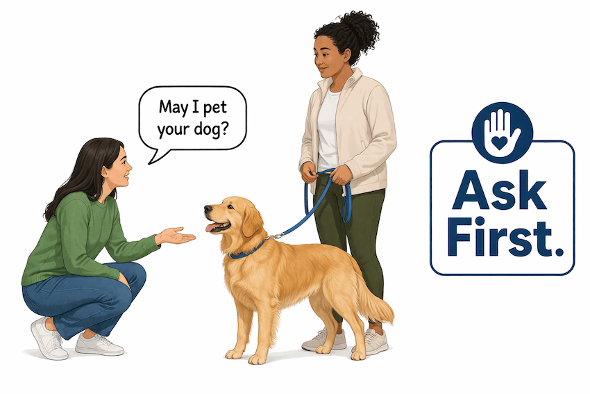 ask permission to pet a dog