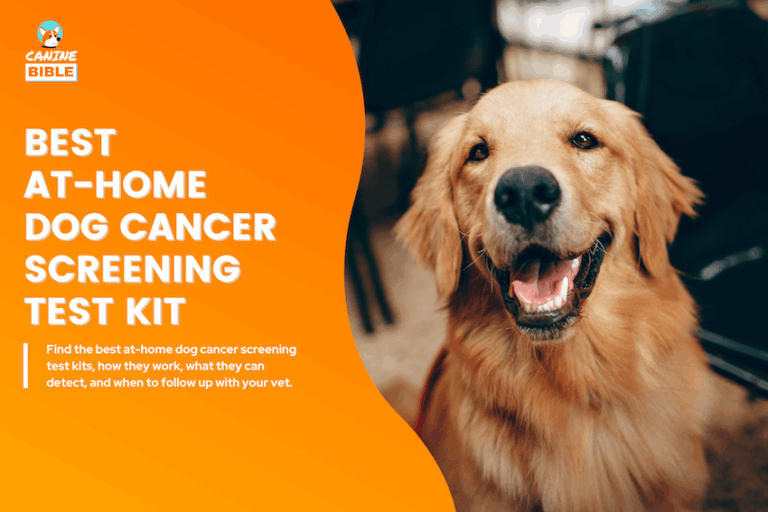 best at-home dog cancer screeing test kit
