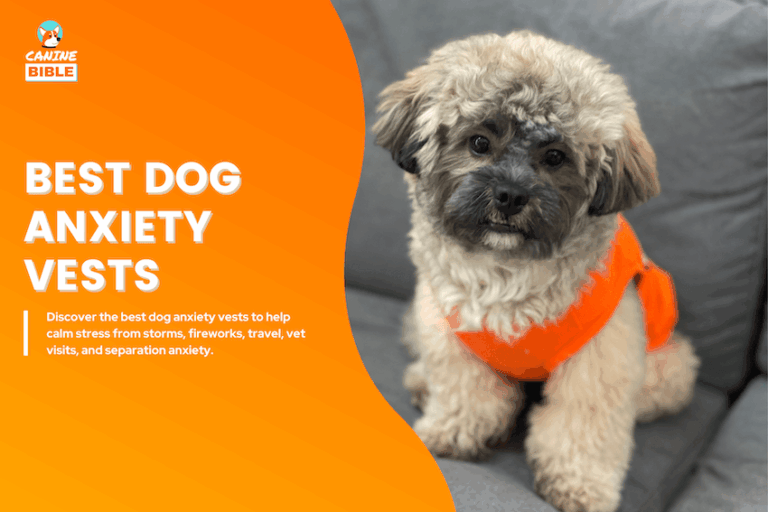best dog anxiety vests