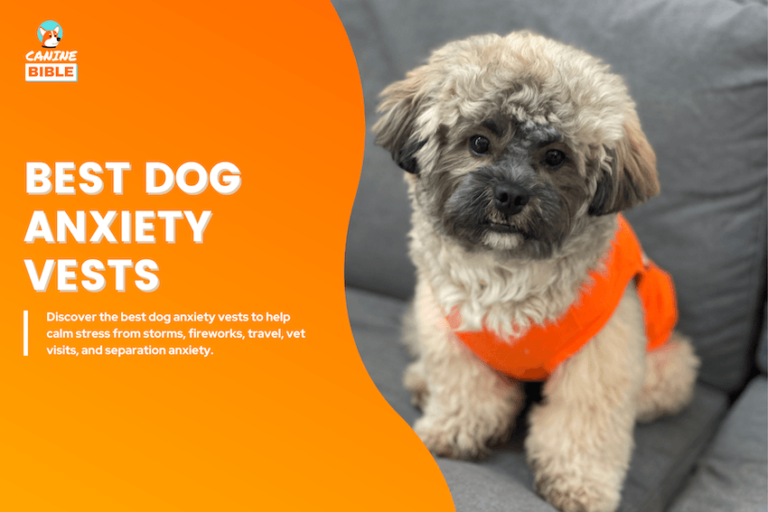 best dog anxiety vests