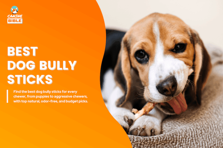 best dog bully sticks