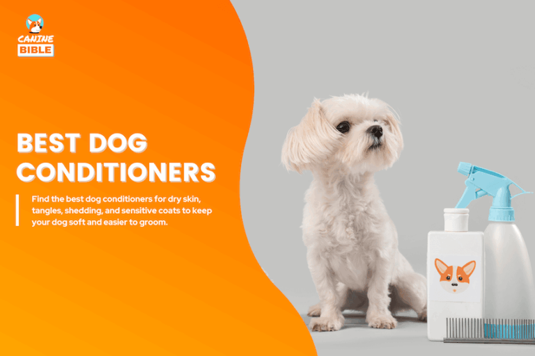 best dog conditioners