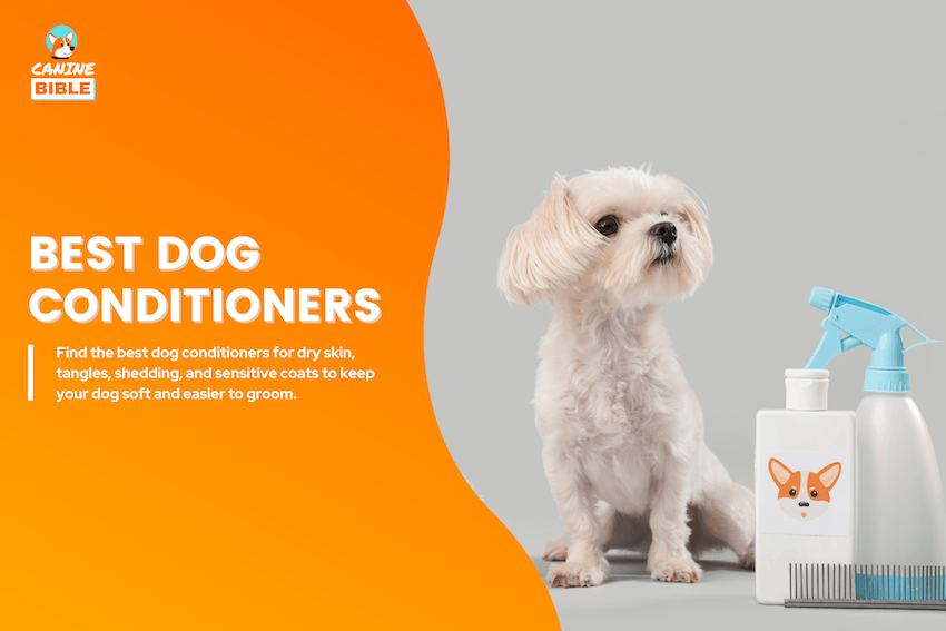 best dog conditioners