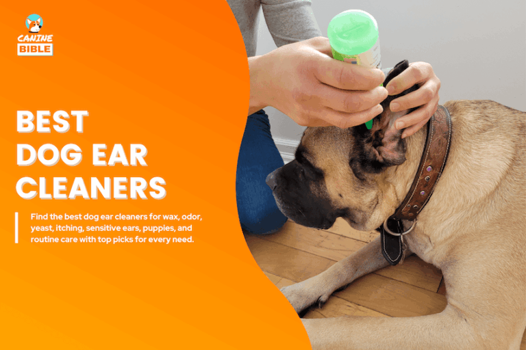 best dog ear cleaners