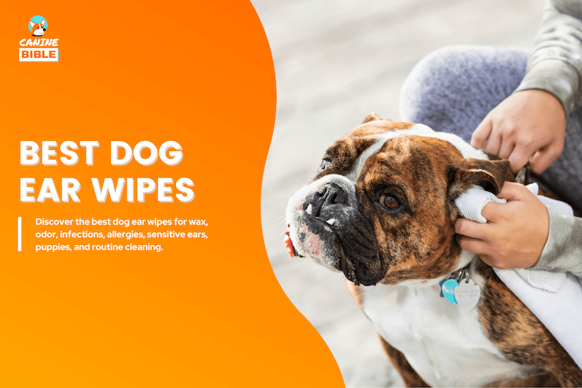 best dog ear wipes